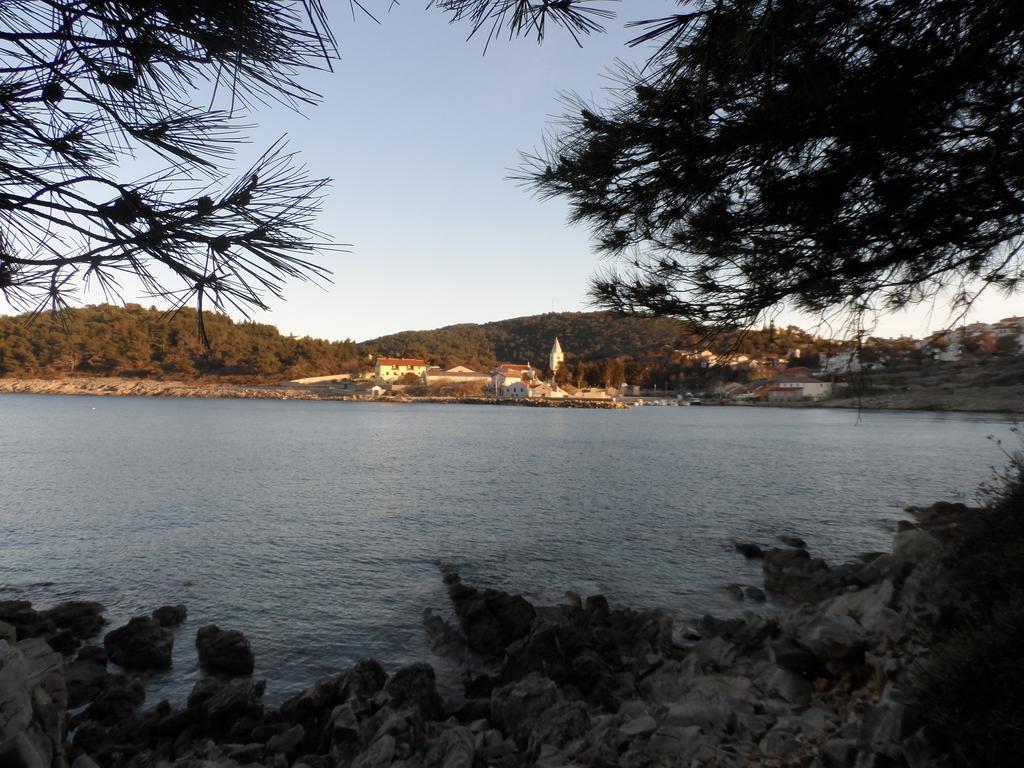 Villa Sv. Martin Mali Lošinj Oda fotoğraf